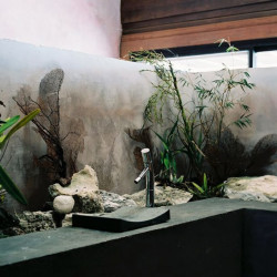 Multicultural breezes