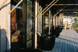 Multicultural breezes