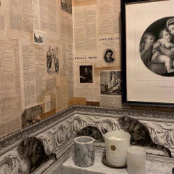 Timless Harmony # Harmonie intemporelle